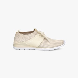 Ugg Willows Gymnastikskor Dam Beige (483607XWN)